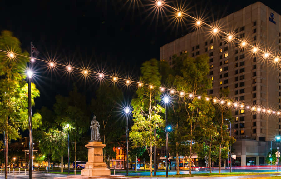 Adelaide Victoria Square Night View Wallpaper