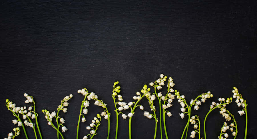 Aerial View Of A City On A Sunny Day Wallpaper
