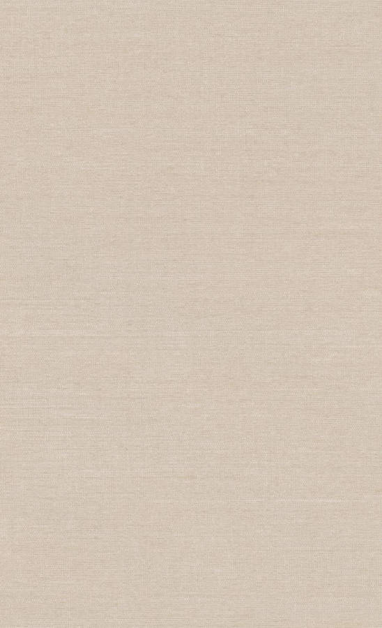 Aesthetic Beige Wall Paint Wallpaper