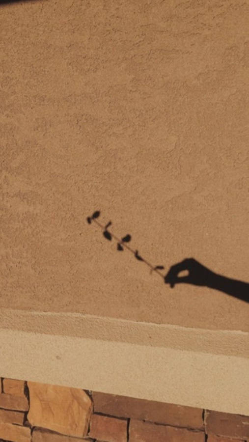 Aesthetic Brown Leaf Shadow Art Wallpaper