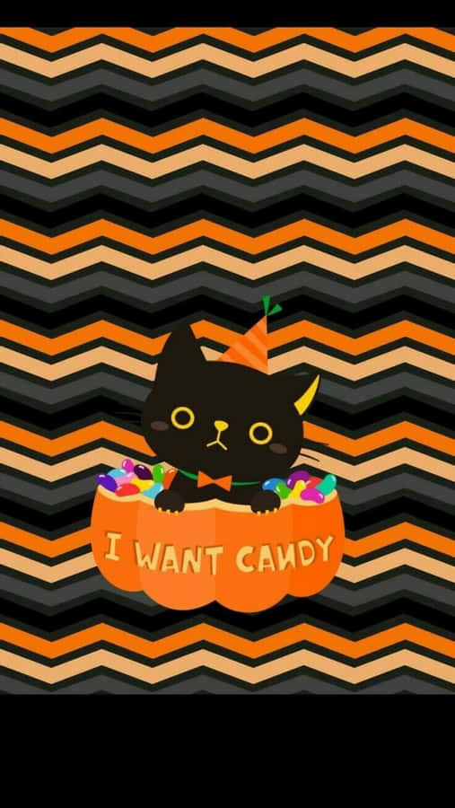 Aesthetic Cute Halloween Black Cat In A Pumpkin Wallpaper