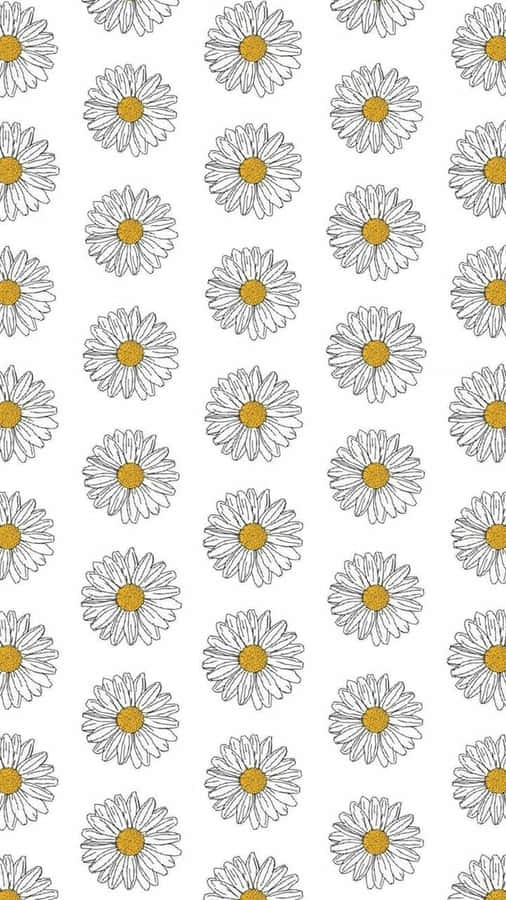 Aesthetic Daisy Pattern Drawing Wallpaper