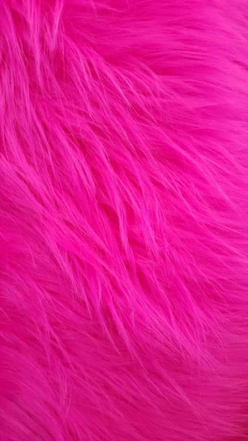 Aesthetic Dark Pink Feather Wallpaper
