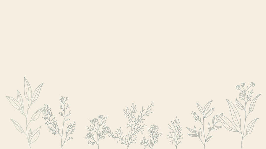 Aesthetic Line Drawing Leaves Minimalist Plant Desktop Wallpaper