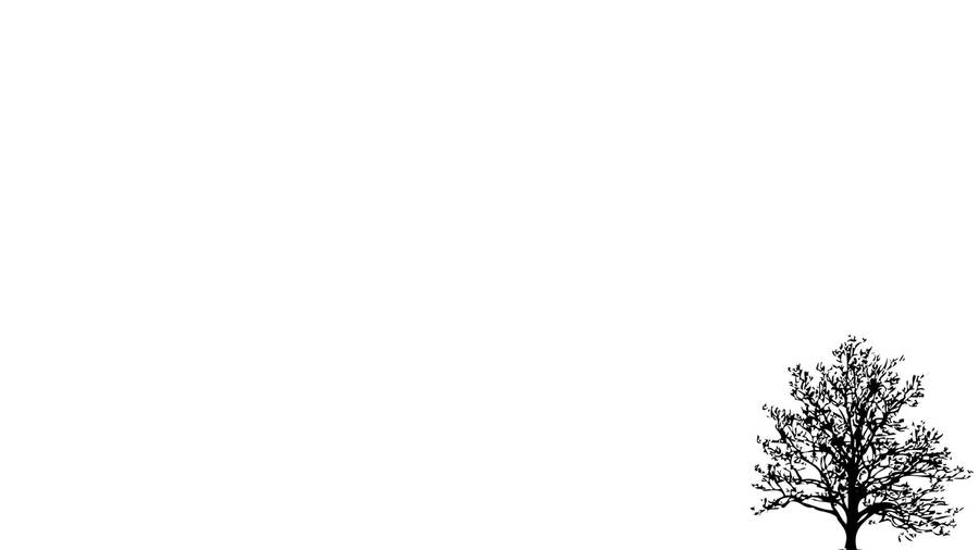 Aesthetic White Tree Wallpaper