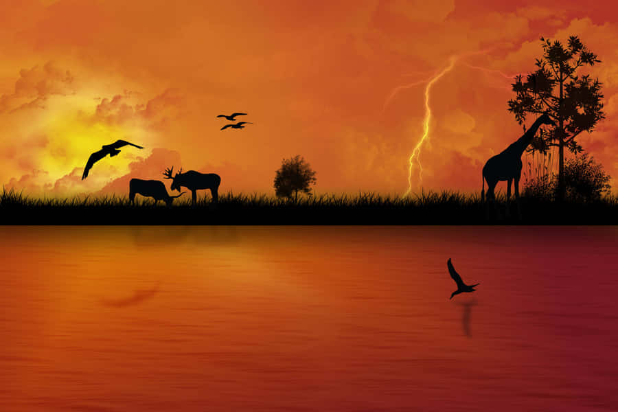African Safari Sunset Lightning Scene Wallpaper