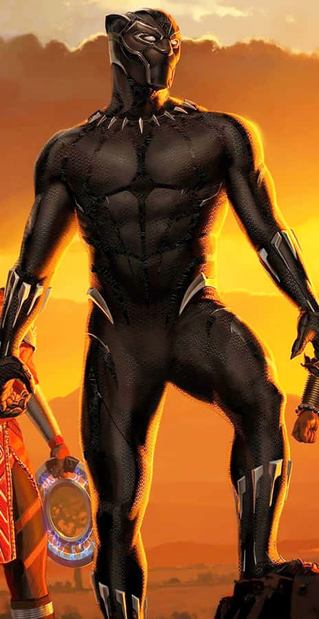After The Throne, King T'challa Reigns Supreme In Wakanda Wallpaper