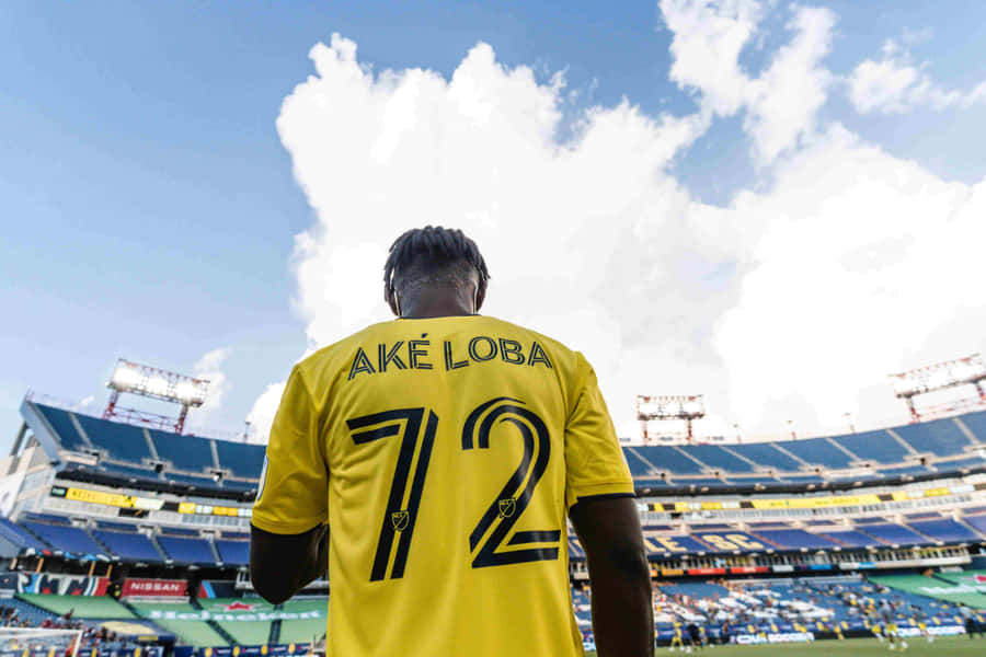 Ake Loba Stadium Entrance Wallpaper