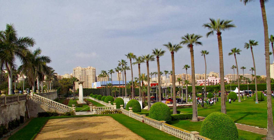 Alexandria Antoniades Garden Wallpaper