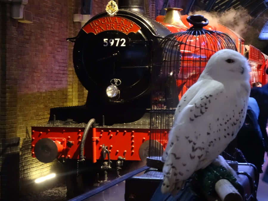 All Aboard The Iconic Hogwarts Express Train! Wallpaper