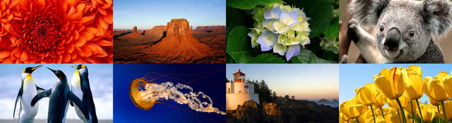 All-in-one Computer For Optimal Efficiency Wallpaper