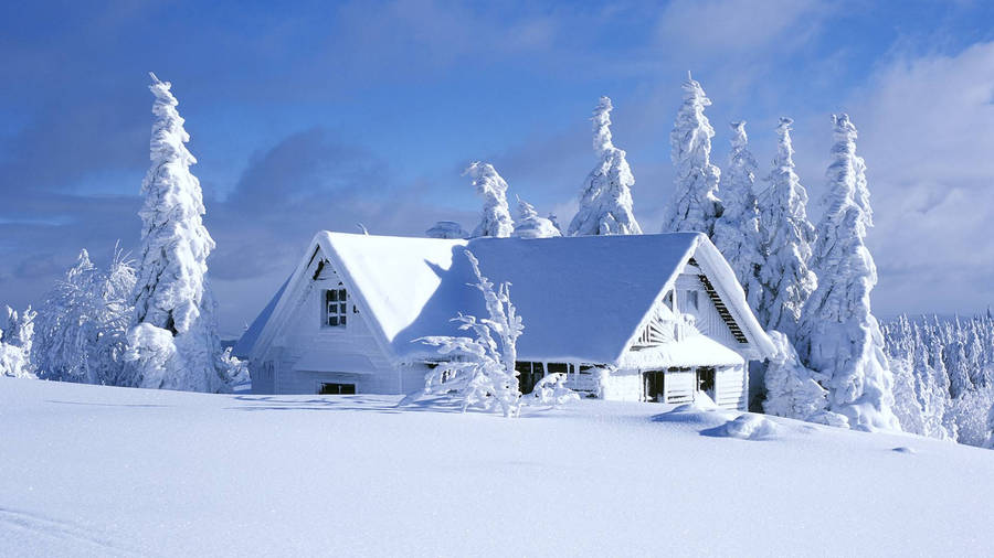 All White Winter House Wallpaper