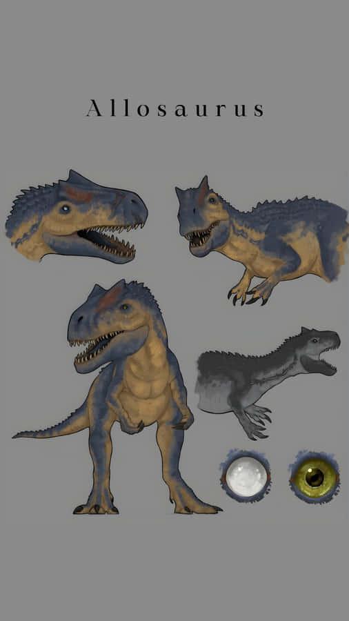 Allosaurus Dinosaur Facts Wallpaper