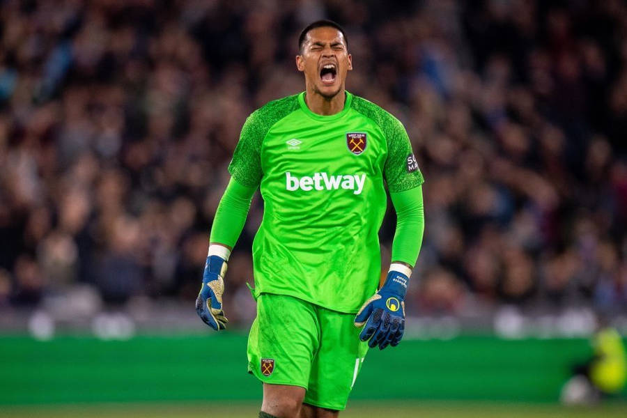 Alphonse Areola Celebrating Intensely On The Soccer Field Wallpaper