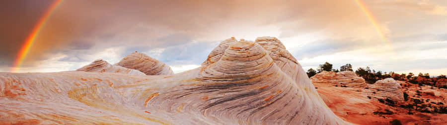 Amazing Foggy Sunrise - Beauty Of Nature Wallpaper