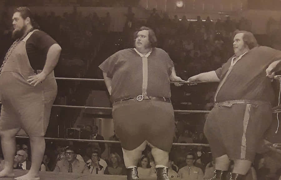 American Professional Wrestler Haystacks Calhoun With The Mcguire Twins Wallpaper