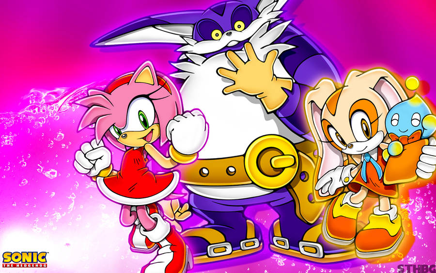 Amy Rose Sonic Hero Friends Wallpaper
