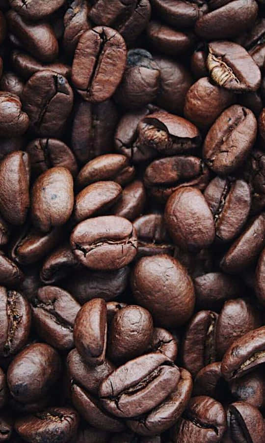 An Autumn Scene With Vibrant Autumn Leaves Wallpaper