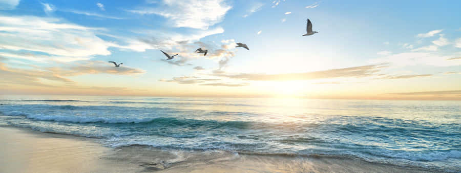 An Illustration Of A Vibrant Green Grass Field Wallpaper