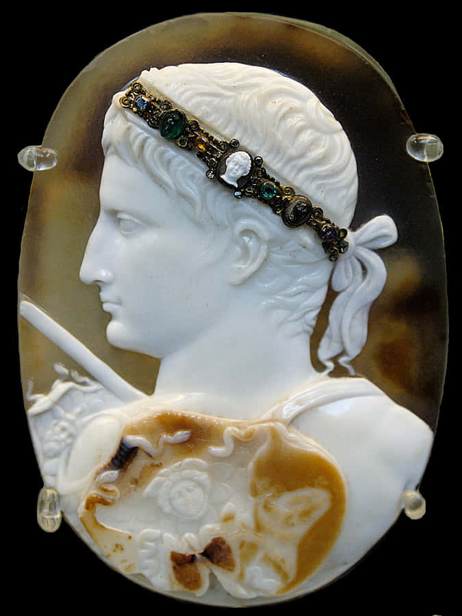 Ancient Cameo Portrait Jeweled Wallpaper