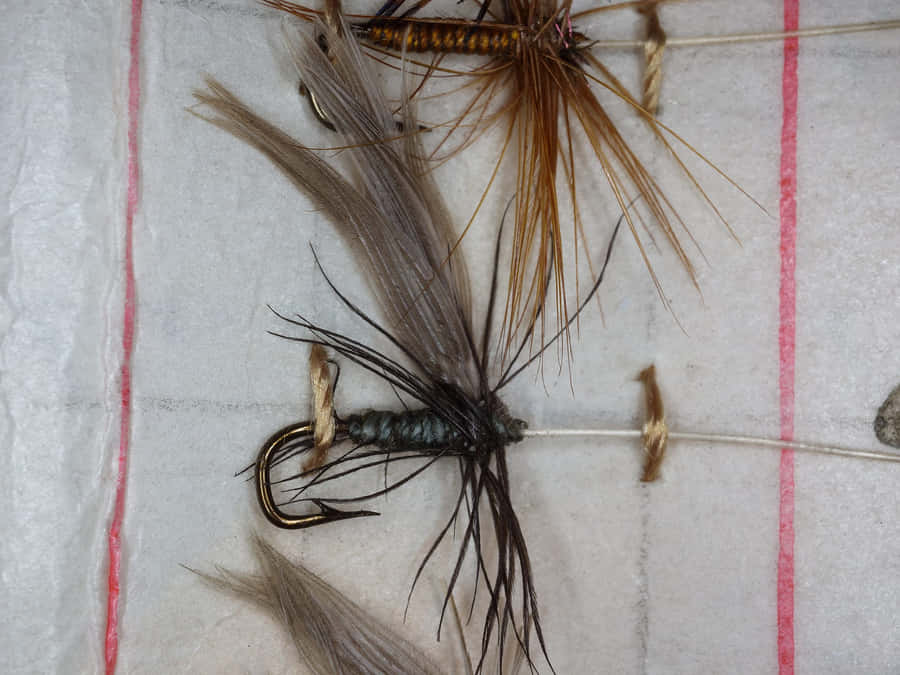 Angler's Delight - Vibrant Fishing Bait Collection Wallpaper