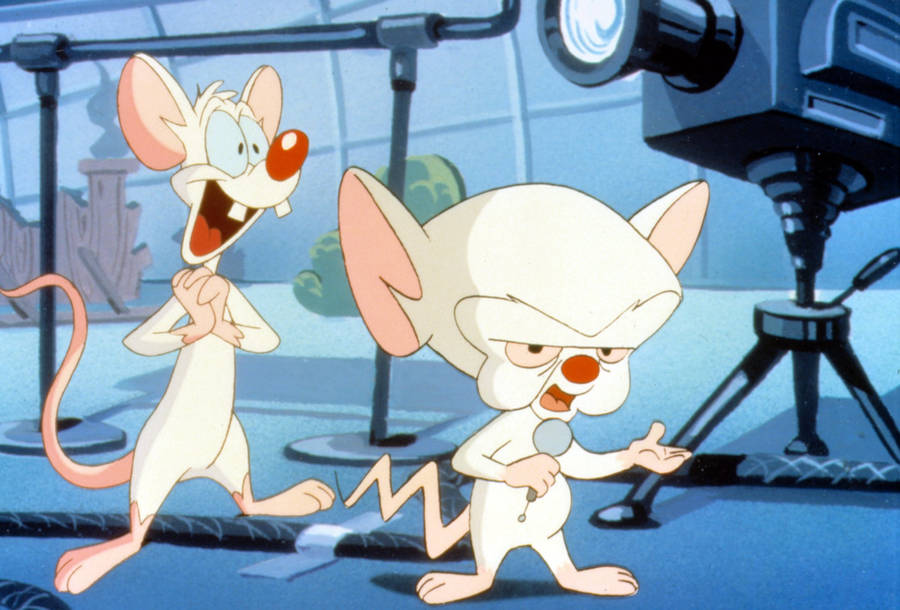 Animaniacs Pinky And The Brain Wallpaper