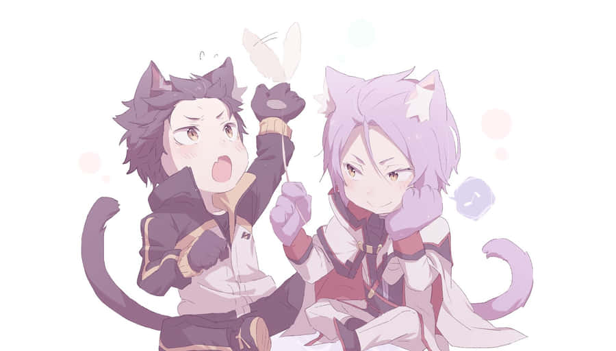 Animated Cat Boys Friendly Fight Wallpaper