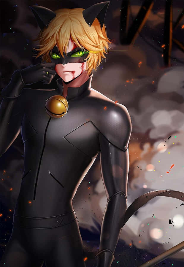 Animated Eerie Cute Cat Noir Wallpaper