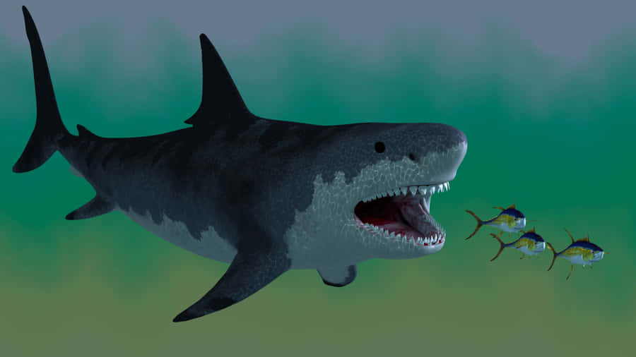Animated Monster Black Shark Wallpaper