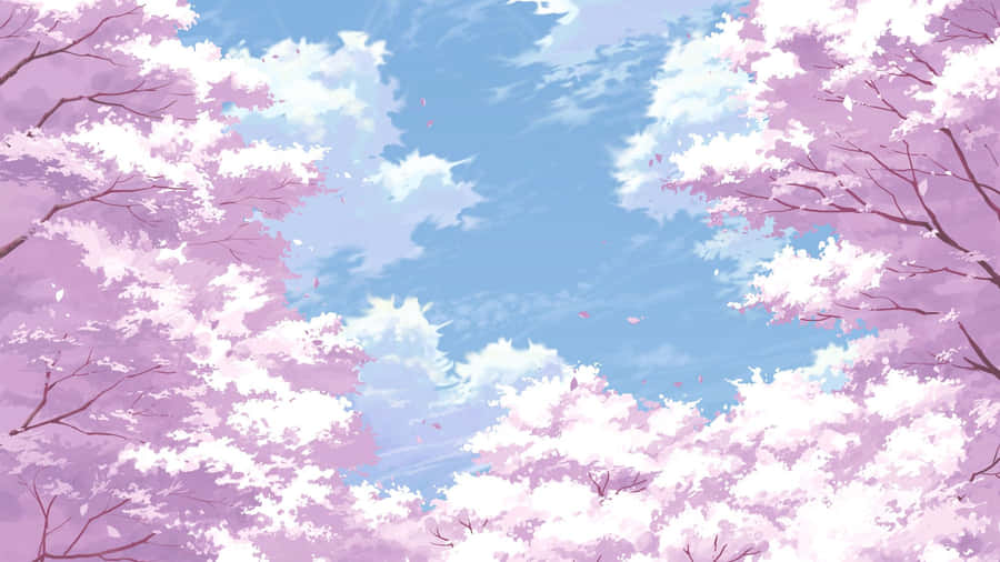 Anime Cherry Blossoms Sky View.jpg Wallpaper