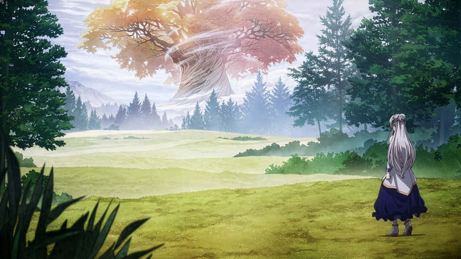 Anime Forest Spirit Encounter Wallpaper