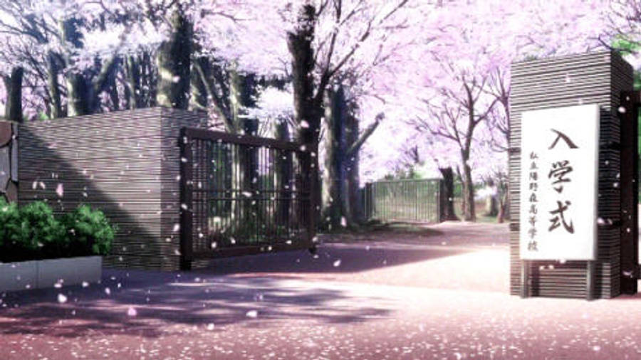 Anime Hd Scenery Of Cherry Blossoms Wallpaper