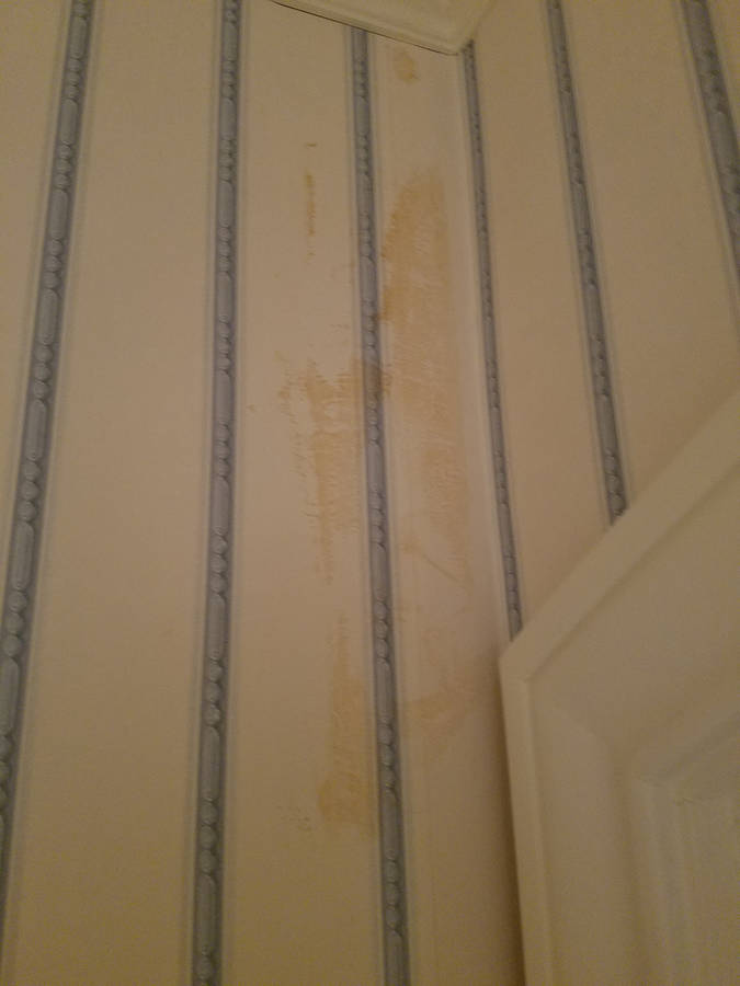 Annoyingly Thorough Phone Wallpaper