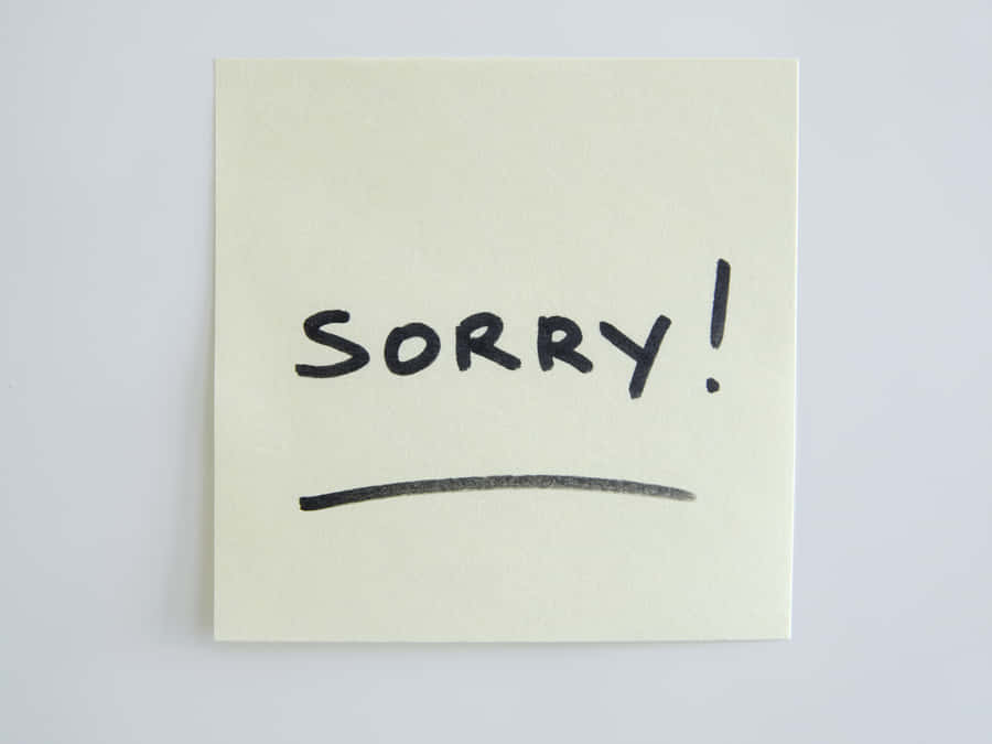 Apology Note Sorry Wallpaper