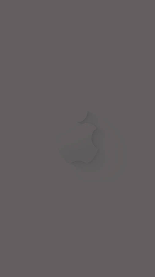 Apple In Solid Grey Background Wallpaper