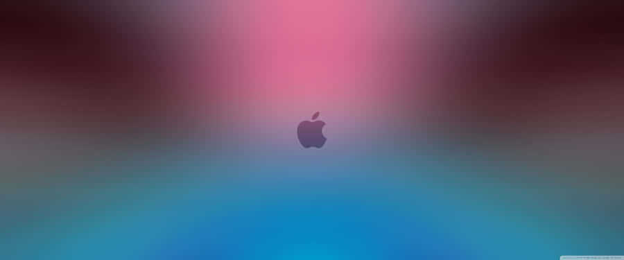 Apple Logo Wallpapers Hd Wallpaper