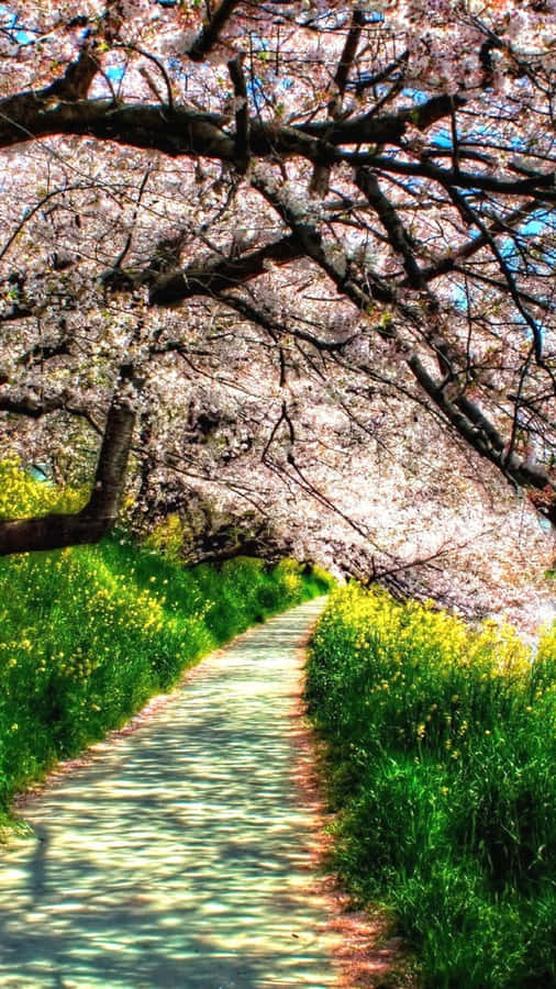 Apple's Retina Display, A Great Example Of High-definition Technology Wallpaper