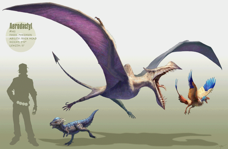 Archen And Aerodactyl Wallpaper