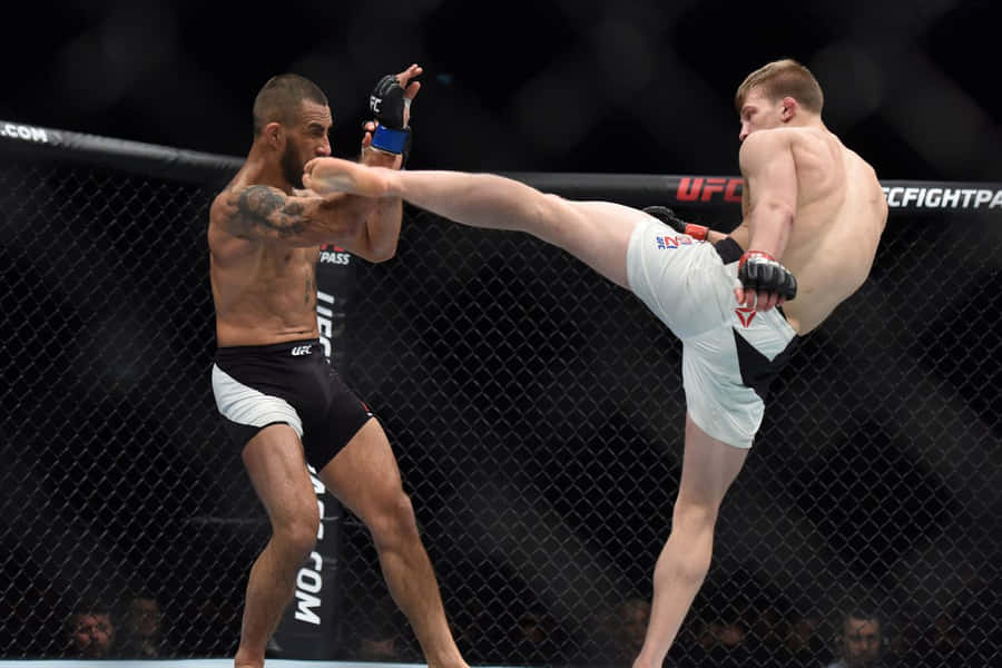 Arnold Allen Makwan Amirkhani Wallpaper