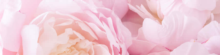 Arousing Dawn At Sea Wallpaper