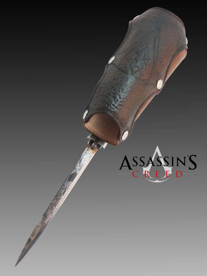 Assassin's Creed Master Assassin With Hidden Blades Wallpaper