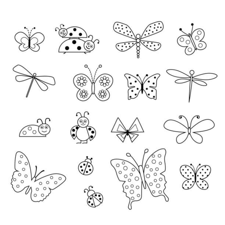 Assorted Insect Coloring Pages Wallpaper
