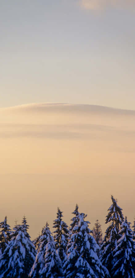 Astonishing View Of A Colorado City Sunrise Wallpaper