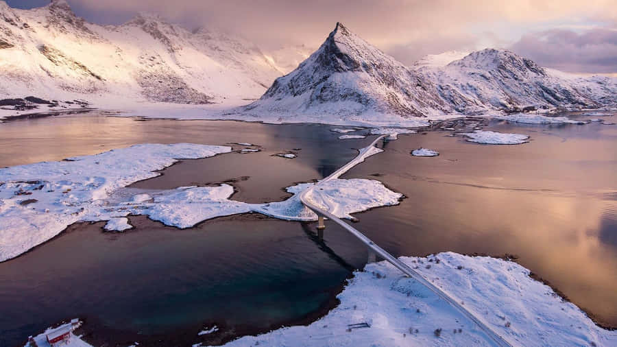 Audacious Winter View Wallpaper