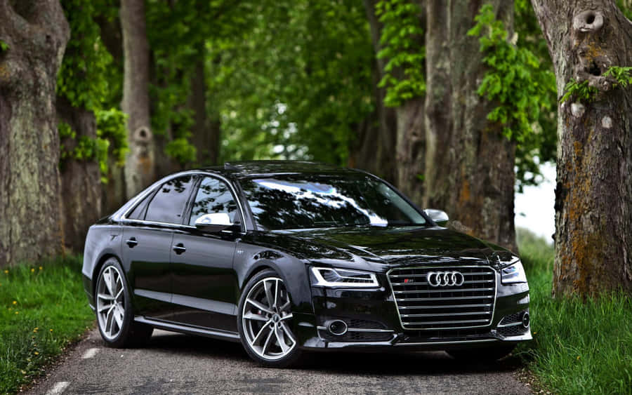 Audi S8: The Ultimate Luxury Sports Sedan Wallpaper