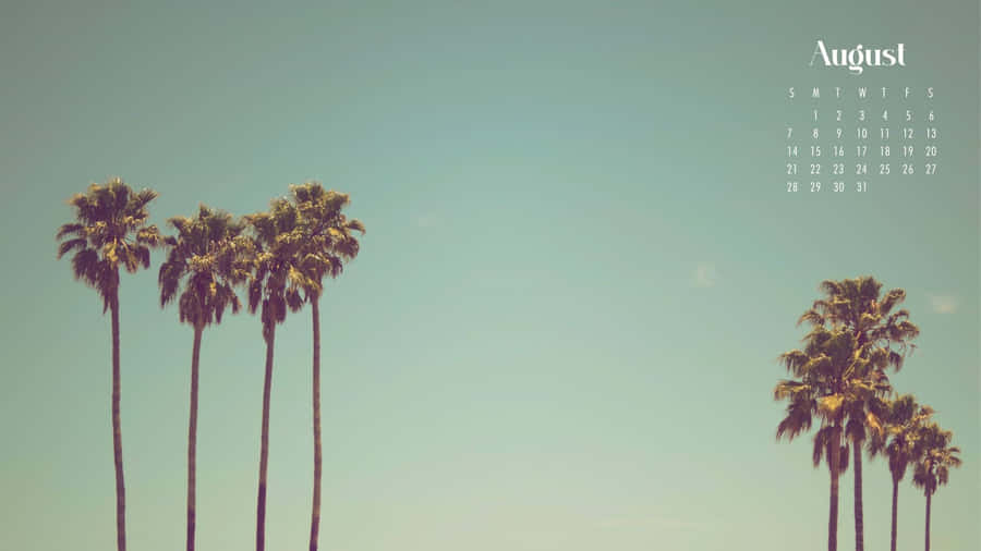 August Palm Trees Calendar Background Wallpaper