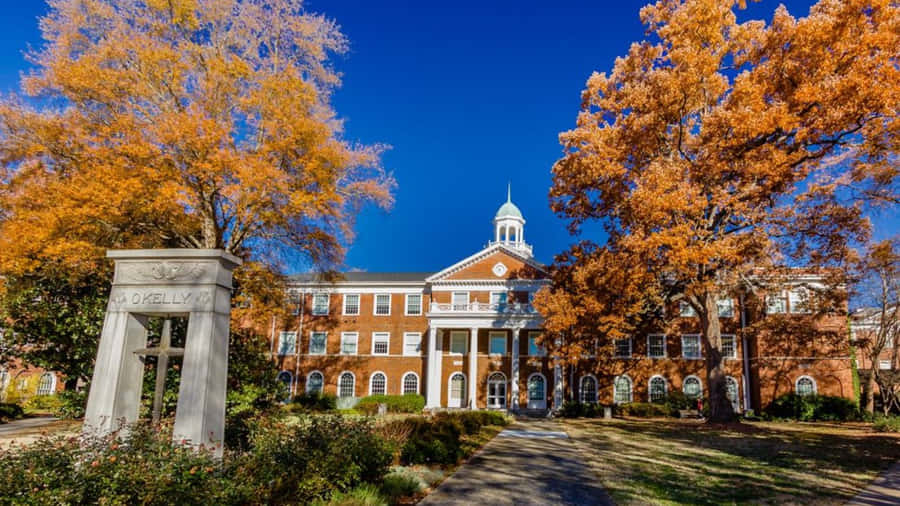 Autumn College Campus Architecture Wallpaper