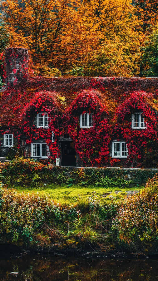 Autumn Enveloped Cottage Wallpaper