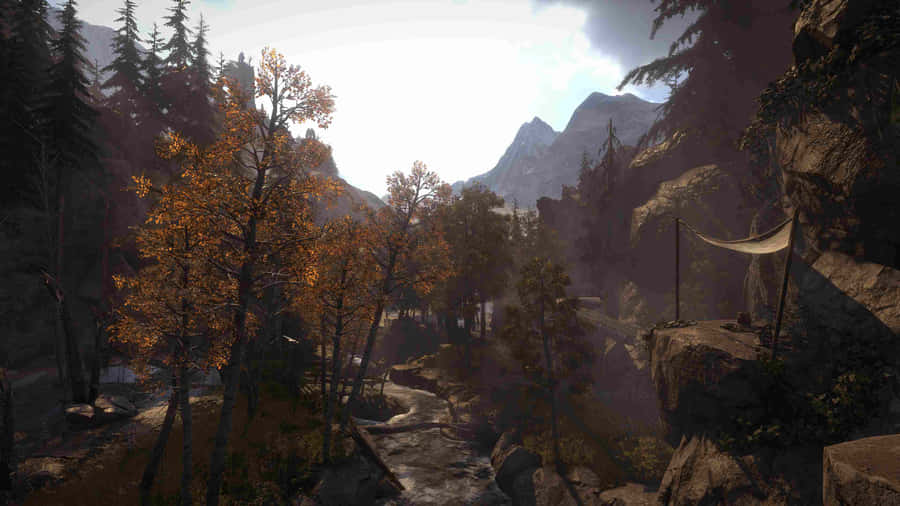 Autumn Forest Mountain Stream Wallpaper