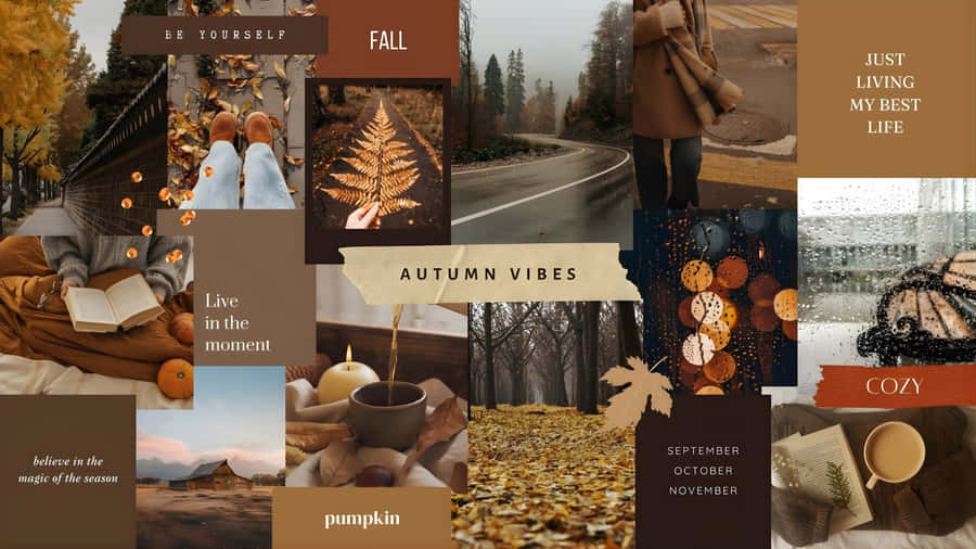Autumn Junk Moodboard Wallpaper
